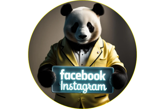 gestão redes sociais Portugal