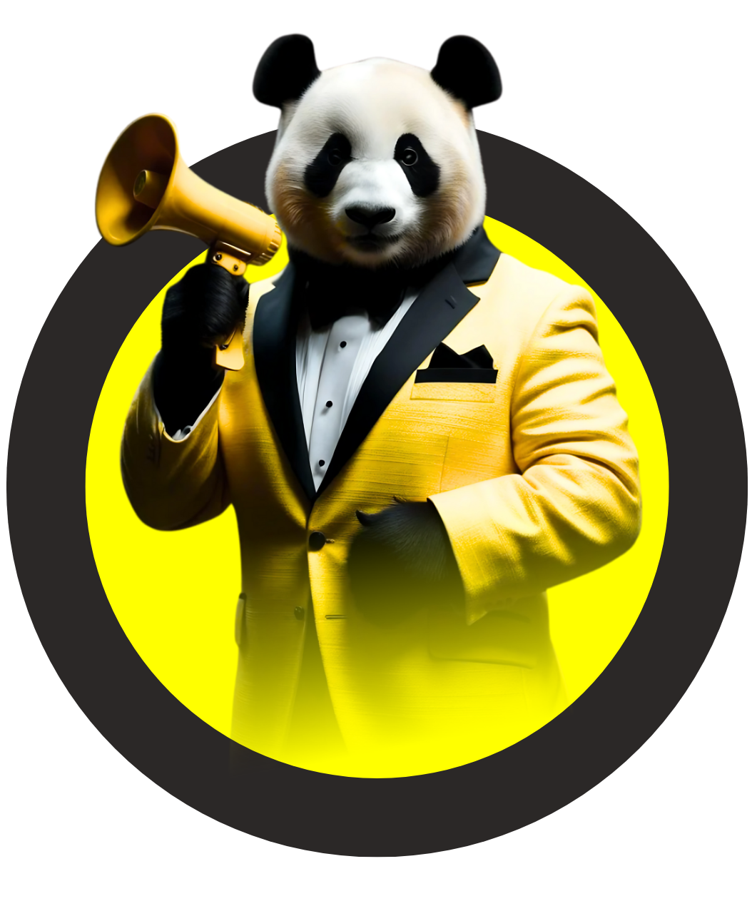 Panda Digital PT Agência de Marketing Digital em Portugal